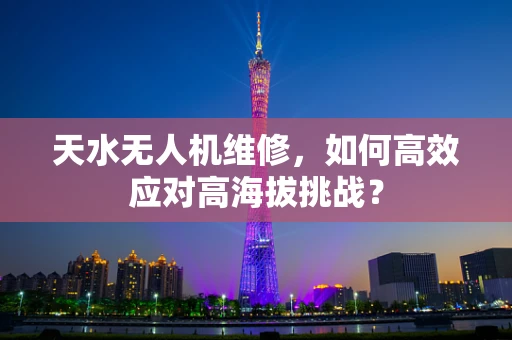 天水无人机维修，如何高效应对高海拔挑战？