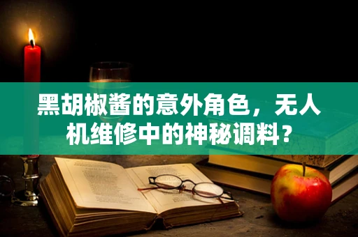 黑胡椒酱的意外角色，无人机维修中的神秘调料？