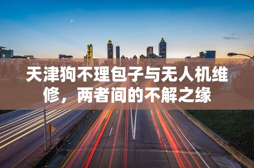 天津狗不理包子与无人机维修，两者间的不解之缘