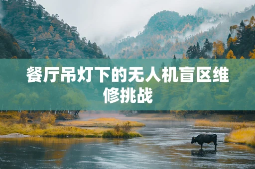 餐厅吊灯下的无人机盲区维修挑战