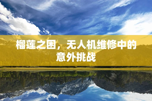 榴莲之困，无人机维修中的意外挑战