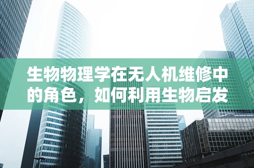 生物物理学在无人机维修中的角色，如何利用生物启发的智能维护？