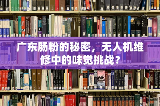 广东肠粉的秘密，无人机维修中的味觉挑战？