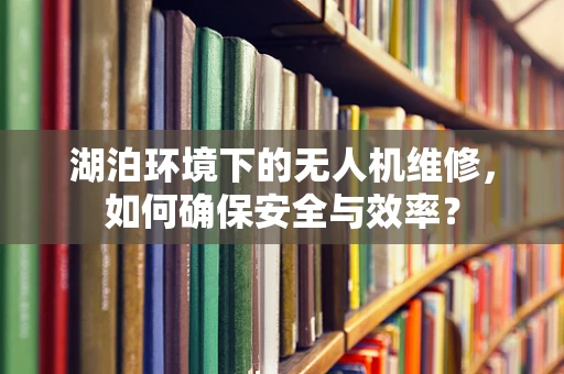 湖泊环境下的无人机维修，如何确保安全与效率？
