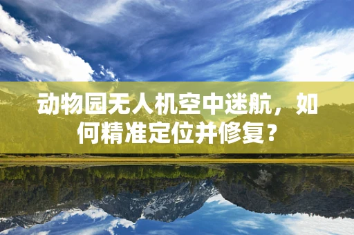 动物园无人机空中迷航，如何精准定位并修复？
