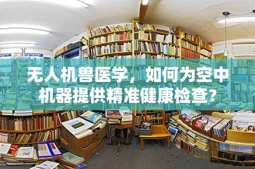 无人机兽医学，如何为空中机器提供精准健康检查？