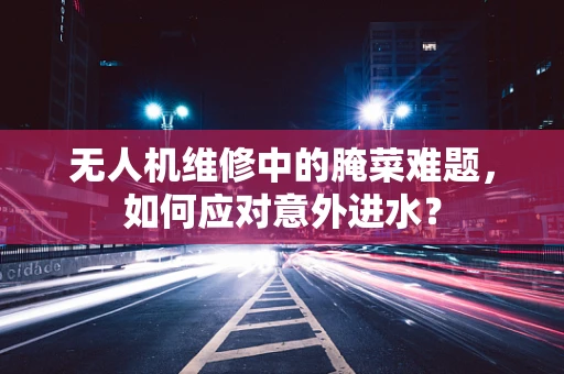 无人机维修中的腌菜难题，如何应对意外进水？