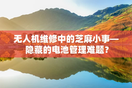 无人机维修中的芝麻小事— 隐藏的电池管理难题？