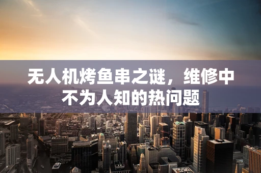 无人机烤鱼串之谜，维修中不为人知的热问题
