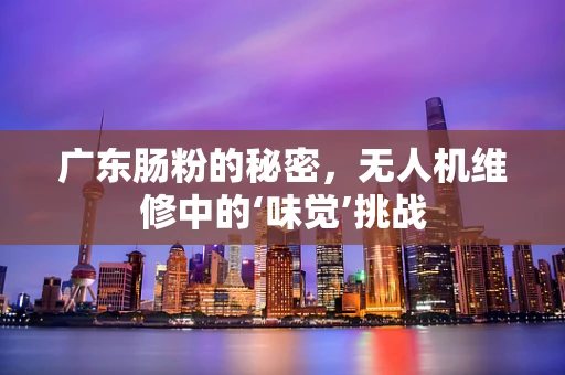 广东肠粉的秘密，无人机维修中的‘味觉’挑战