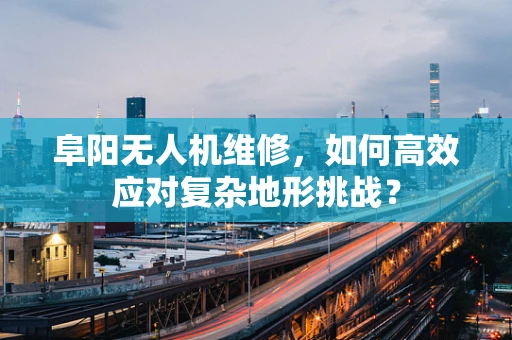 阜阳无人机维修，如何高效应对复杂地形挑战？