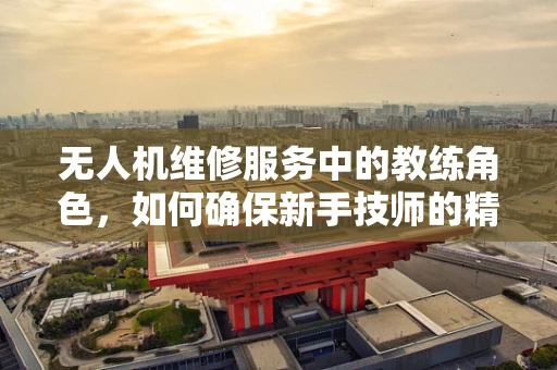 无人机维修服务中的教练角色，如何确保新手技师的精准操作？