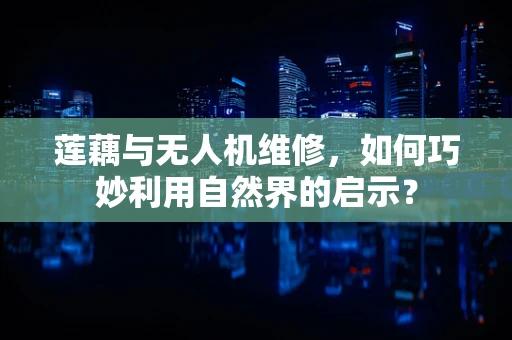 莲藕与无人机维修，如何巧妙利用自然界的启示？