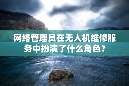 网络管理员在无人机维修服务中扮演了什么角色？