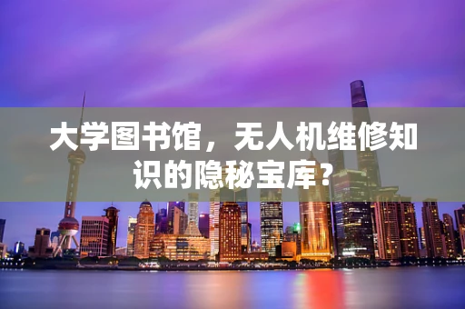 大学图书馆，无人机维修知识的隐秘宝库？