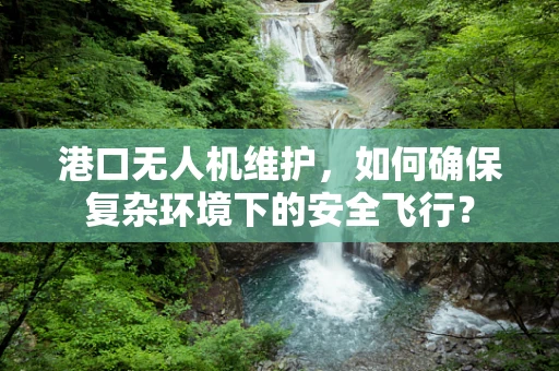 港口无人机维护，如何确保复杂环境下的安全飞行？