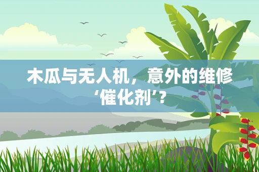 木瓜与无人机，意外的维修‘催化剂’？