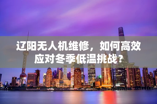 辽阳无人机维修，如何高效应对冬季低温挑战？