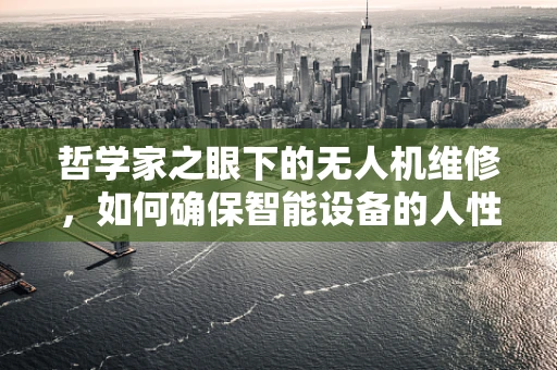 哲学家之眼下的无人机维修，如何确保智能设备的人性化与逻辑性？