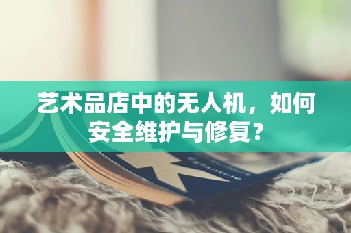 艺术品店中的无人机，如何安全维护与修复？