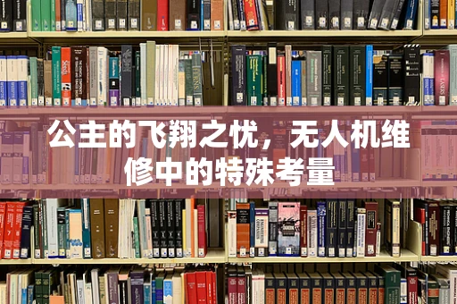 公主的飞翔之忧，无人机维修中的特殊考量