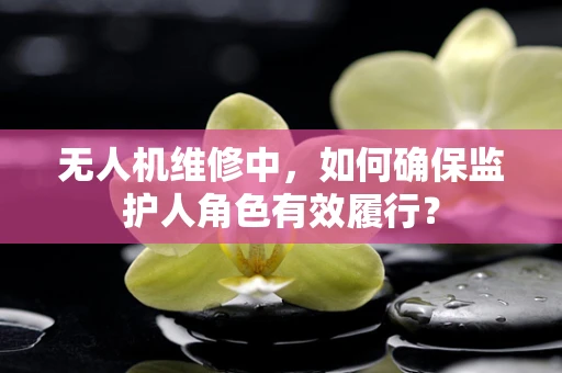 无人机维修中，如何确保监护人角色有效履行？