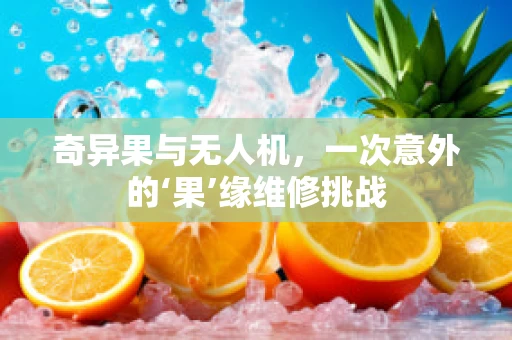 奇异果与无人机，一次意外的‘果’缘维修挑战
