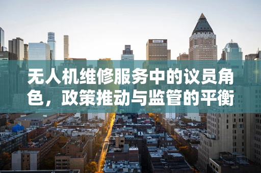无人机维修服务中的议员角色，政策推动与监管的平衡