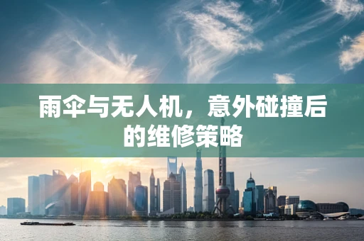 雨伞与无人机，意外碰撞后的维修策略