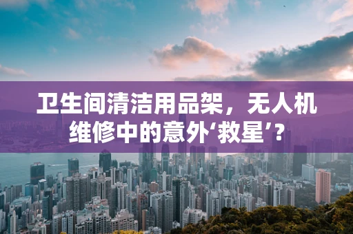 卫生间清洁用品架，无人机维修中的意外‘救星’？