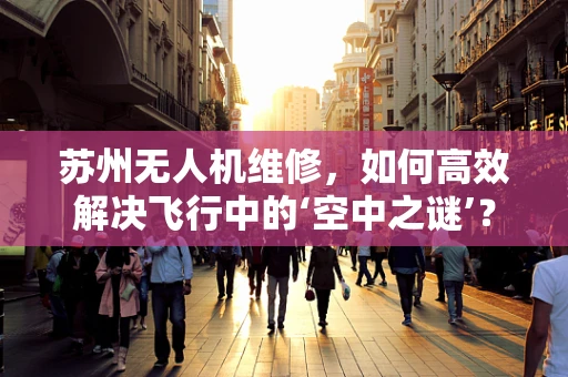 苏州无人机维修，如何高效解决飞行中的‘空中之谜’？