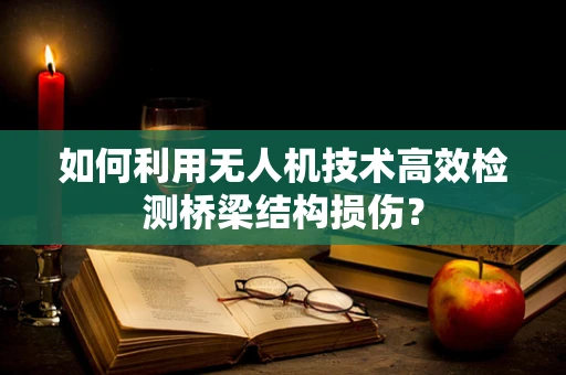 如何利用无人机技术高效检测桥梁结构损伤？