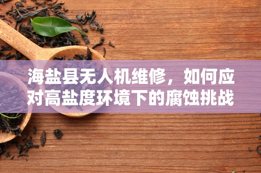 海盐县无人机维修，如何应对高盐度环境下的腐蚀挑战？