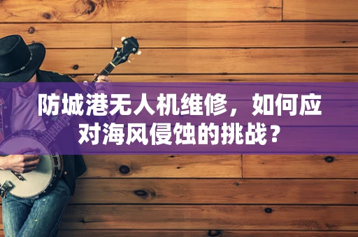防城港无人机维修，如何应对海风侵蚀的挑战？