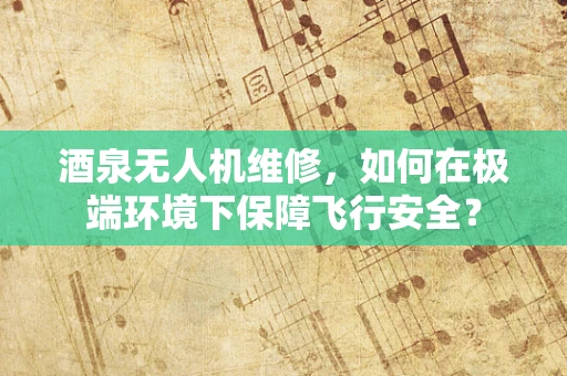 酒泉无人机维修，如何在极端环境下保障飞行安全？