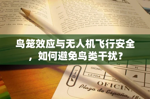 鸟笼效应与无人机飞行安全，如何避免鸟类干扰？