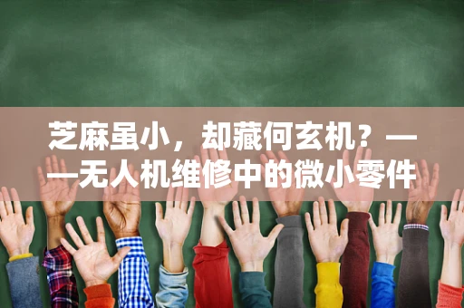芝麻虽小，却藏何玄机？——无人机维修中的微小零件检查