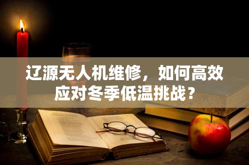 辽源无人机维修，如何高效应对冬季低温挑战？