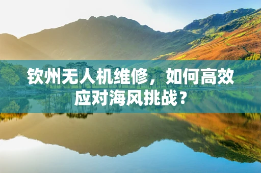 钦州无人机维修，如何高效应对海风挑战？