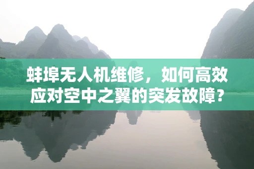 蚌埠无人机维修，如何高效应对空中之翼的突发故障？