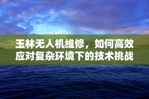玉林无人机维修，如何高效应对复杂环境下的技术挑战？