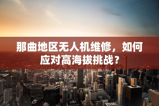 那曲地区无人机维修，如何应对高海拔挑战？