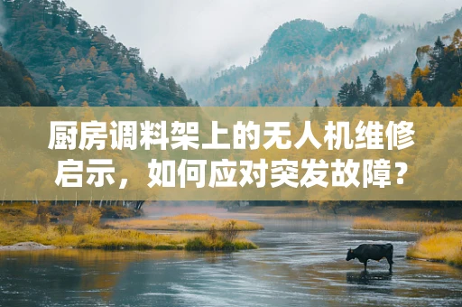 厨房调料架上的无人机维修启示，如何应对突发故障？
