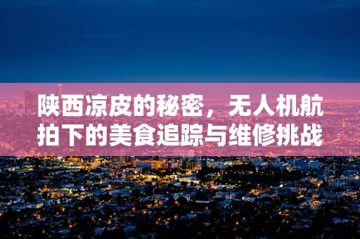 陕西凉皮的秘密，无人机航拍下的美食追踪与维修挑战