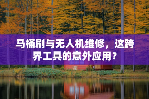 马桶刷与无人机维修，这跨界工具的意外应用？