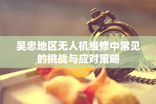 吴忠地区无人机维修中常见的挑战与应对策略