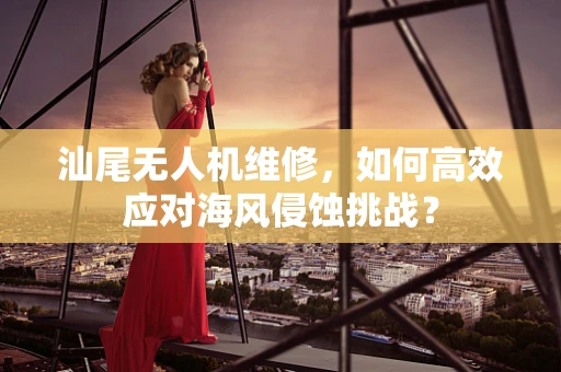 汕尾无人机维修，如何高效应对海风侵蚀挑战？