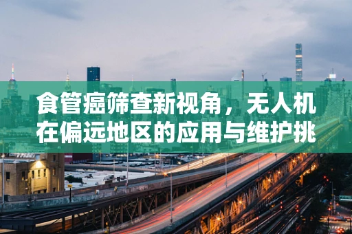 食管癌筛查新视角，无人机在偏远地区的应用与维护挑战