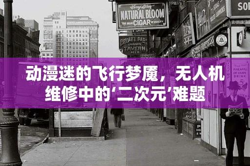 动漫迷的飞行梦魇，无人机维修中的‘二次元’难题
