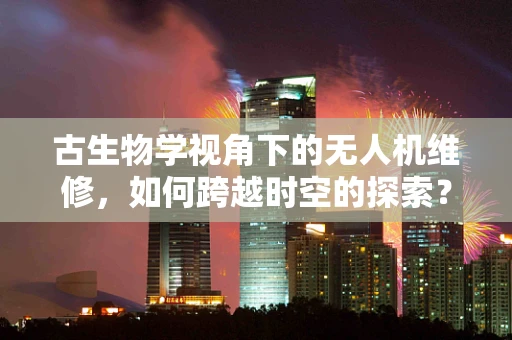 古生物学视角下的无人机维修，如何跨越时空的探索？